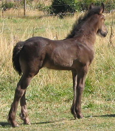 Bonnie almost 4 weeks